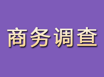 科尔沁商务调查